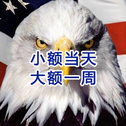 新抚要账公司